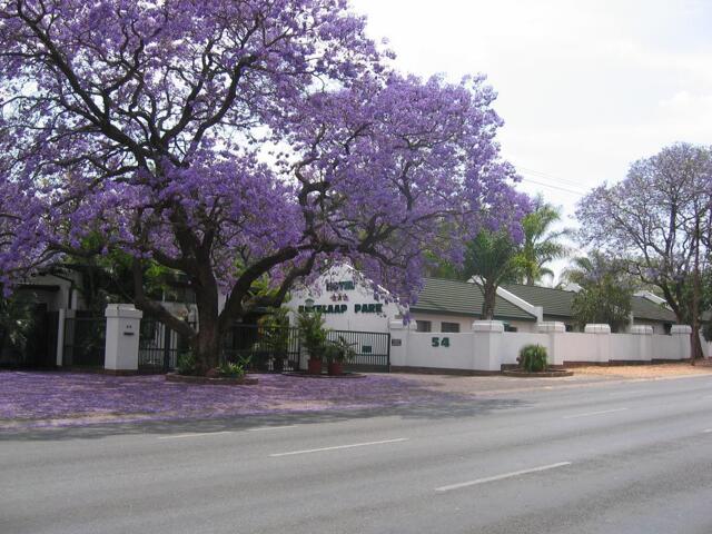 Rissik Street, Polokwane, Eskulaap Hotel &