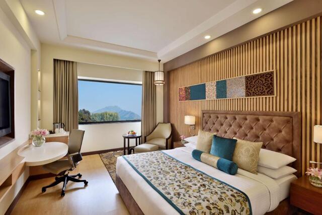 Maulana Azad Road, Srinagar, Radisson Srinagar, Hotel