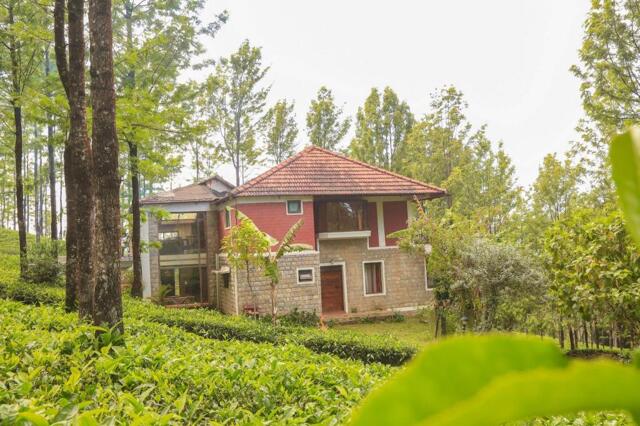 Woodbrook Estate, Ooty, Woodbrook Estate
