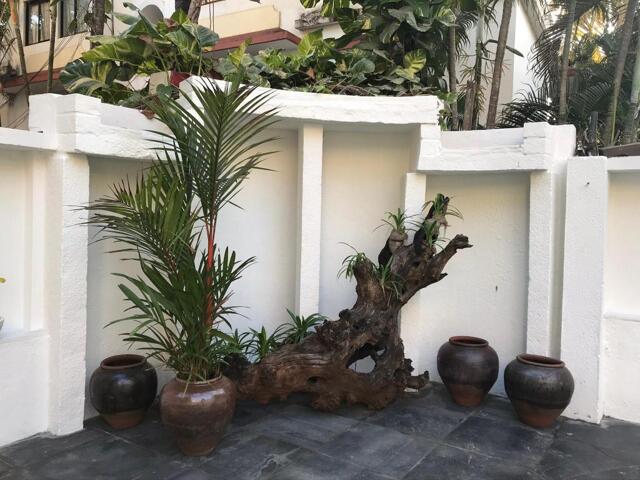 Wadi, Candolim, Bardez, Goa, Flavia By The