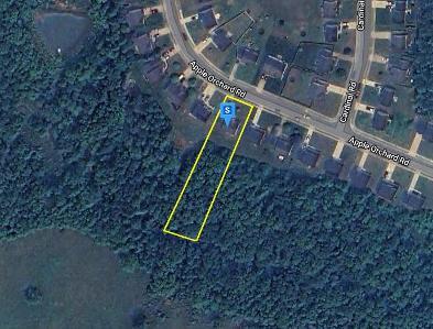 Apple Orchard Rd, Louisa, Preforeclosure Single-family Home