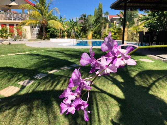 Nagtong-o, Calaba, Bangued, Strutz Art Garden