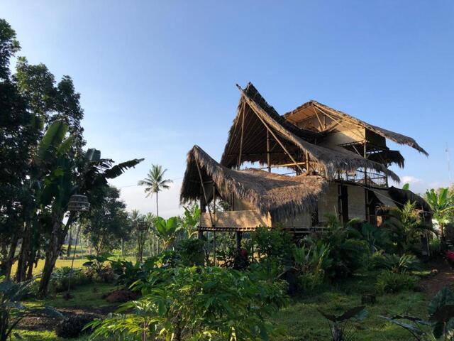 Jalan Tamansari, Banyuwangi, Bamboo & B