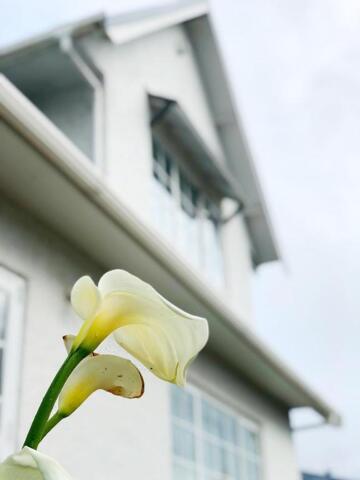 Lake Road, Auckland, Takapunna-economy Double Room