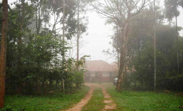 Kunnampetta Putoorvayal Road, Wayanad, 3 Hills County