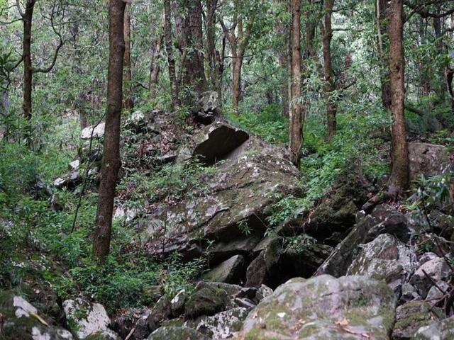 Village Gawai, Po Maloothi, Patgehar Road, Dhalli, Shimla, Shimla, The Jungle Story Village Gawai, Po Maloothi, Patgehar Road, Dhalli, Shimla, Shimla, The Jungle Story