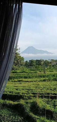 Joglo Mriyunan Rt/rw /, Yogyakarta, Pengging, Room