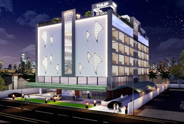 Tulip, Sunita Park, G.e Road, Labhandih, Purena, Tulip Arena, Serviced