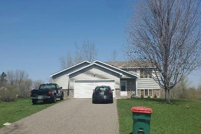 Th St Ne, Albertville, Preforeclosure Single-family Home