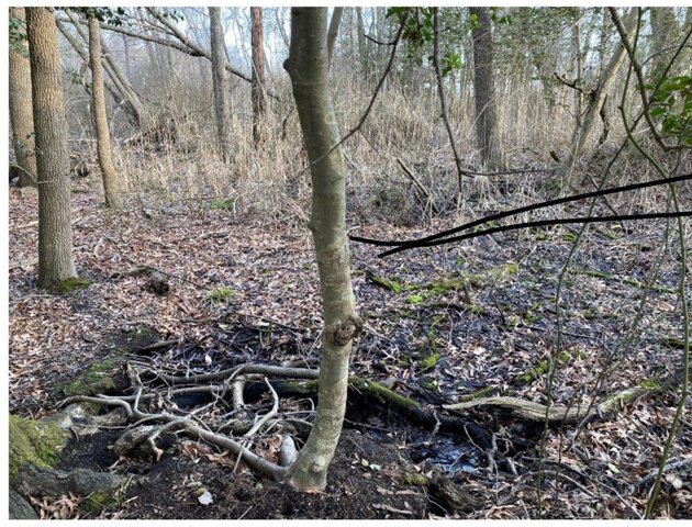 Cherry St, Bayville, Plot For Sale