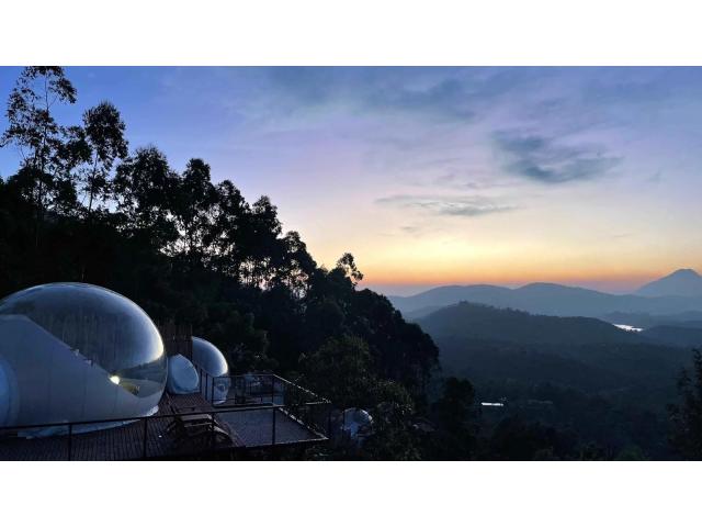 Best Honeymoon Resorts in Munnar | LuxeGlamp