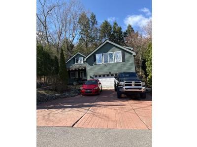 Felters Rd, Binghamton, Preforeclosure Single-family Home