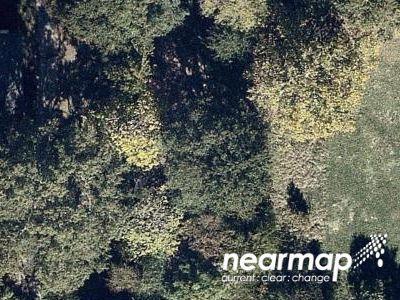 Joe Louis St, Shreveport, Foreclosure Property In