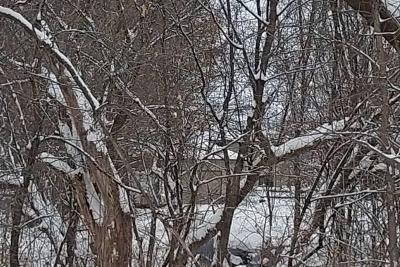 Old Viking Blvd Nw, Anoka, Preforeclosure Single-family Home