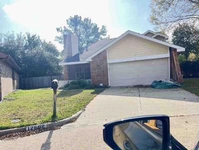 Ashford Pine Dr, Houston, Preforeclosure Single-family Home