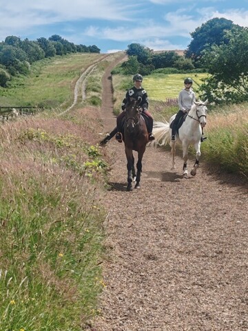 Kilkenny,room For Rent Kilkenny,room For Rent