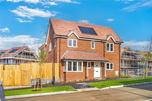 Potter Street, St. Leonards-on-sea, 4 Bedroom Semi-detached