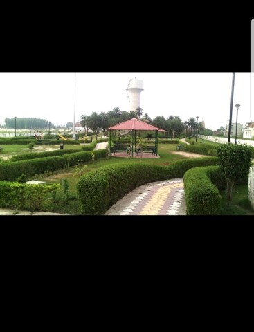 Ambala City,room For Rent