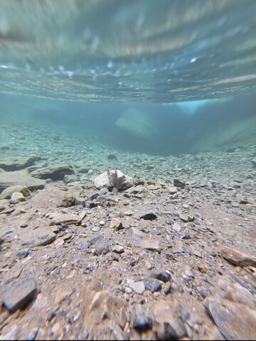 Chakrata, Room For Rent