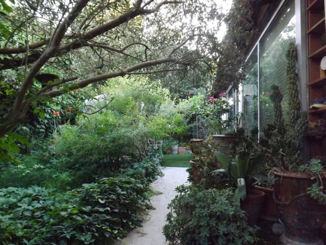 Lattes, Room For Rent Lattes, Room For Rent