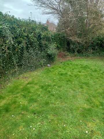 Dublin W, Room For Rent