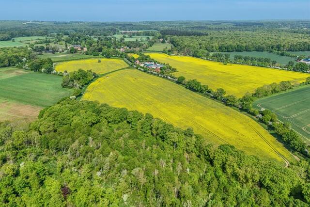 Land At Cane End, Reading Road, Land For Sale