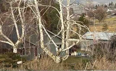 Brathovde Rd, Selah, Preforeclosure Single-family Home