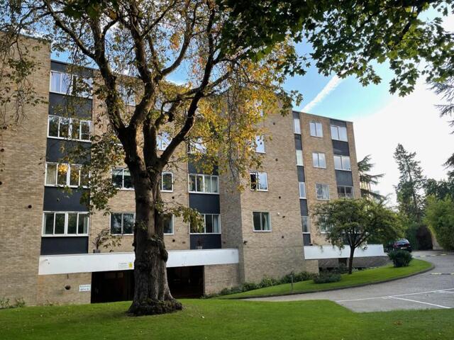 West Hill, London, 1 Bedroom Flat West Hill, London, 1 Bedroom Flat