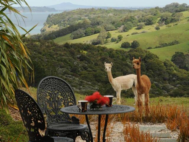 Mahurangi West Road, Auckland, Mahurangi West Wing
