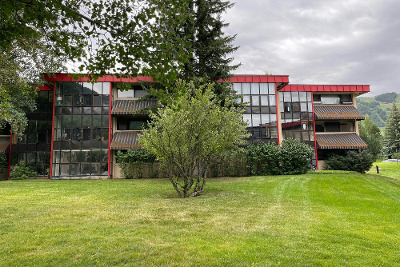 Vine St, Aspen, Preforeclosure Condo In