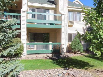 York Ave S Apt,minneapolis, Foreclosure Condo In