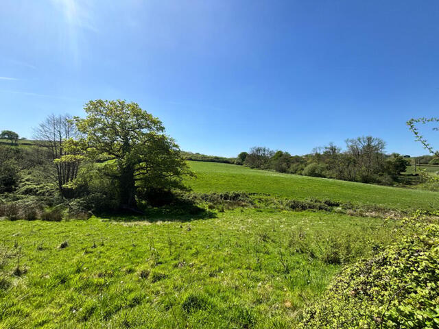 Capel Dewi, Carmarthen, Farm Land For