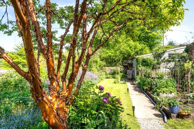 Wilmington, Honiton, 3 Bedroom Semi-detached