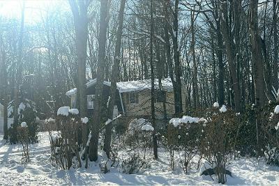 Cedar Rd, Mount Pocono, Preforeclosure Single-family Home