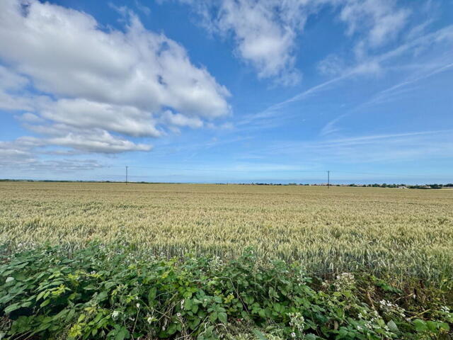 Canterbury Road, Birchington, 3 Bedroom Semi-detached