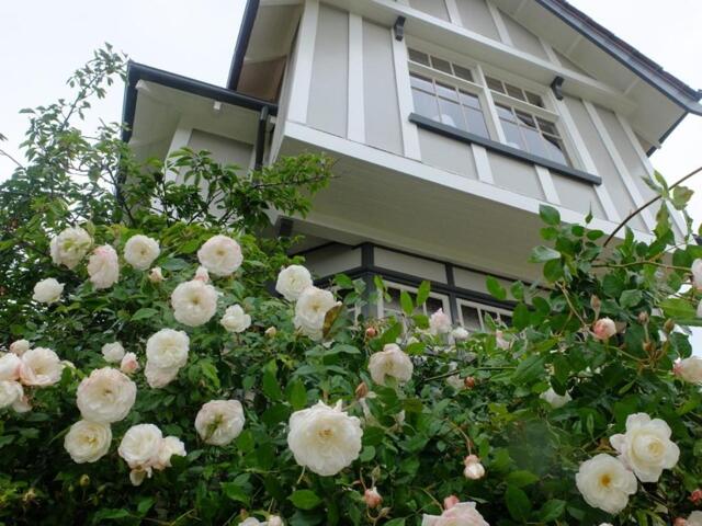 A Douglas Terrace, Oamaru, The Terrace