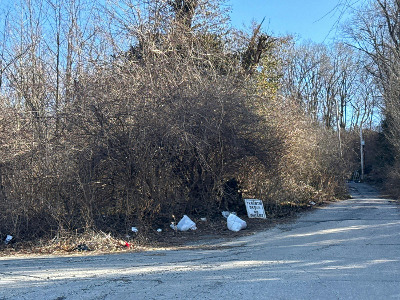 N Bluff Rd, Collinsville, Foreclosure Single-family Home