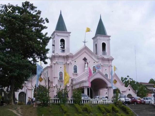 Deca Homes Subdivision Tunghaan Minglanilla Block  Lot,cebu, Deca Homes Subdivision