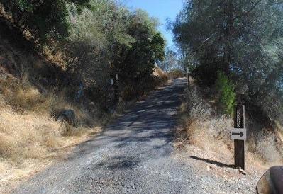 Paint Rd, Angels Camp, Preforeclosure Agricultural In