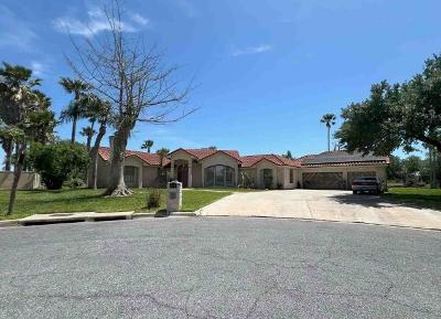 Robusta Ct, Harlingen, Preforeclosure Single-family Home