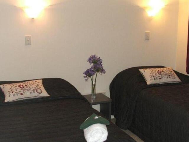 Coronation Avenue, New Plymouth, Asure Saddle And