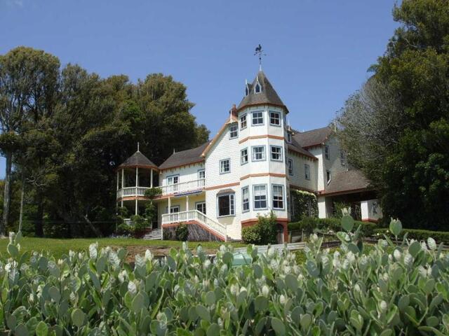 Wortley Road, New Plymouth, Puritawa Estate Bed
