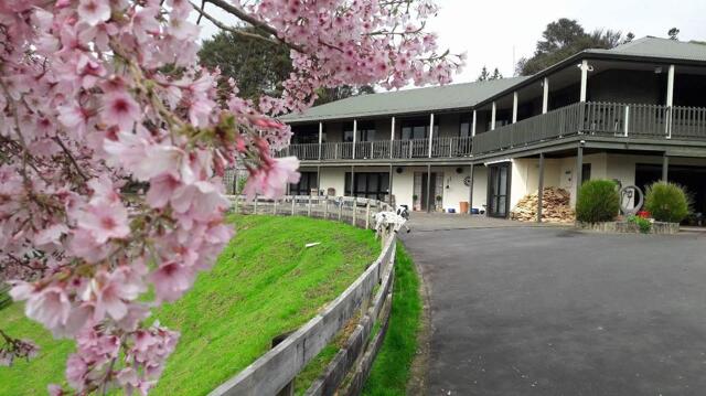 Old Mountain Road, Karamu, Karamu Valley Lodge