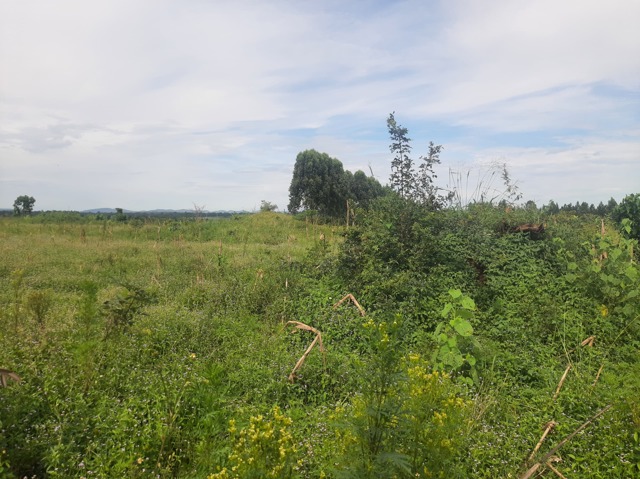 Butalangu, Nakaseke, 5 Acre Land