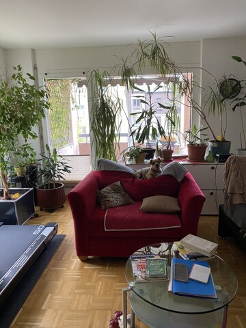 Zuerich, Room For Rent