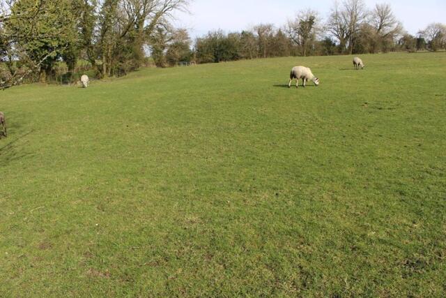 Middop, Stocks Lane, Gisburn, Farm Land For