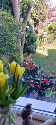 Dublin, Room For Rent