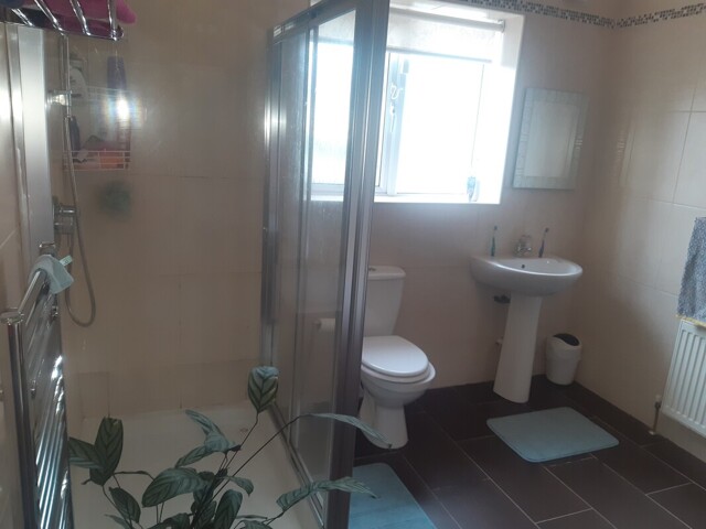 Dublin, Room For Rent