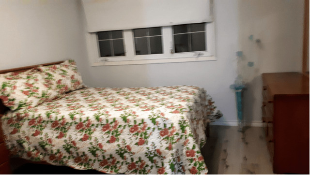 Etobicoke, Room For Rent
