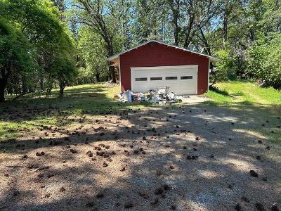 Graybar Mine Rd, Garden Valley, Foreclosure Single-family Home